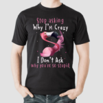 Flamingo Stop Asking Why Im Crazy I Dont Ask Why You Are So Stupid Shirt