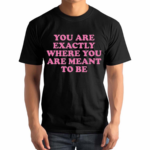 You Are Exactly Where You Are Meant To Be Shirt