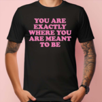 You Are Exactly Where You Are Meant To Be Shirt