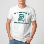 Raccoon It Is What It Is And It Is Not Great Shirt