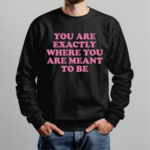 You Are Exactly Where You Are Meant To Be Shirt