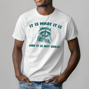 Raccoon It Is What It Is And It Is Not Great Shirt