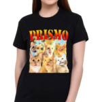 Prismo Cats Shirt