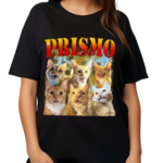 Oneorangebraincell Prismo Cats Shirt