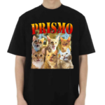 Oneorangebraincell Prismo Cats Shirt