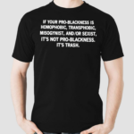 If Your Pro Blackness Is Homophobic Transphobic Misogynist And Or Sexist Its Not Pro Blackness Its Trash Shirt