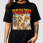 Oneorangebraincell Prismo Cats Shirt