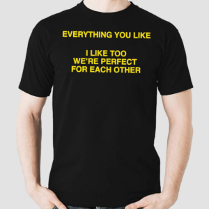 Everything You Like I Like Too We’re Perfect For Each Other Shirt