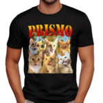 Oneorangebraincell Prismo Cats Shirt