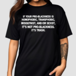Lion O Richie Got A New Diss Track W Thundercat If Your Pro-Blackness Is Homophobic Transphobic Misogynist And Or Sexist Its Not Pro Blackness Its Trash Shirt