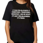 Lion O Richie Got A New Diss Track W Thundercat If Your Pro-Blackness Is Homophobic Transphobic Misogynist And Or Sexist Its Not Pro Blackness Its Trash Shirt