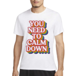 You Need To Calm Down Pride Parade Shirt