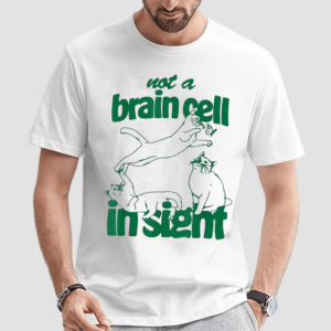 Not A Brain Cell In Sight Cat Smooth Brain 2024 Shirt