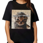 Chat Am I Normal Shirt