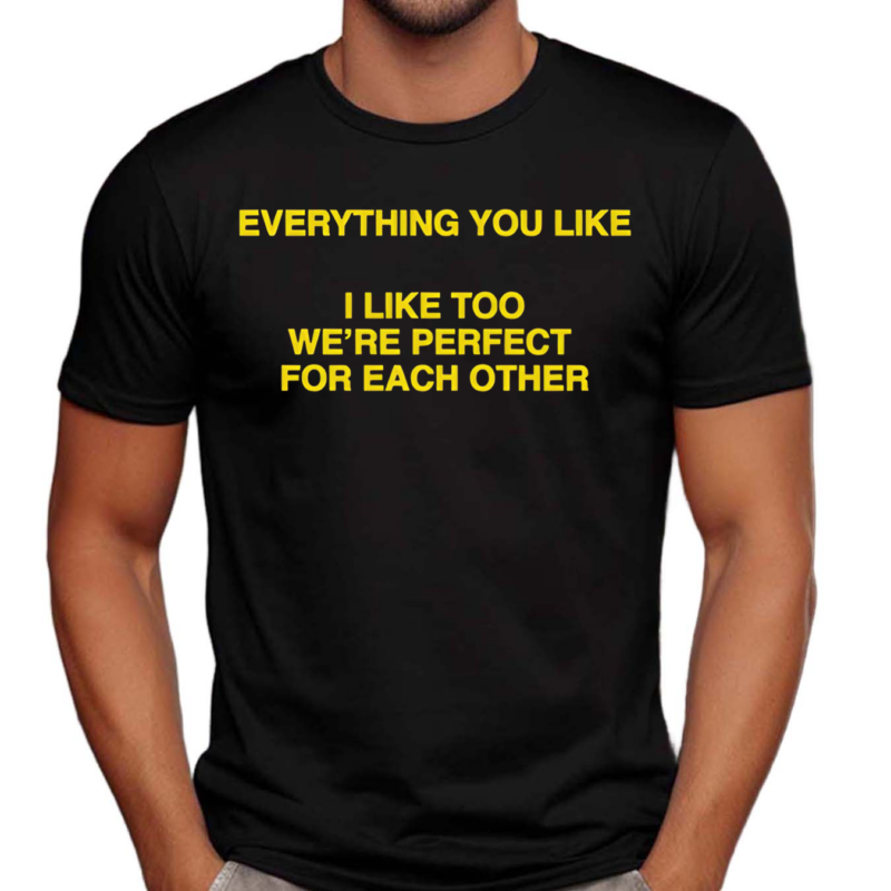 Everything You Like I Like Too We’re Perfect For Each Other Shirt