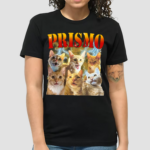 Oneorangebraincell Prismo Cats T Shirt