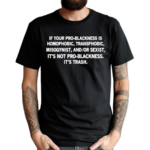 Lion O Richie Got A New Diss Track W Thundercat If Your Pro-Blackness Is Homophobic Transphobic Misogynist And Or Sexist Its Not Pro Blackness Its Trash Shirt