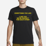 Everything You Like I Like Too We’re Perfect For Each Other Shirt