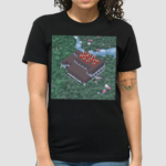 Not Like Us X Minecraft Shirt