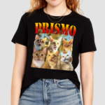 Oneorangebraincell Prismo Cats T Shirt