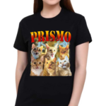 Oneorangebraincell Prismo Cats Shirt