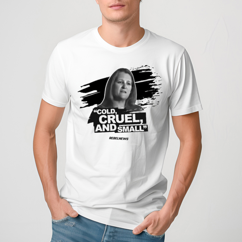 Rebelnews Cold Cruel And Small Shirt