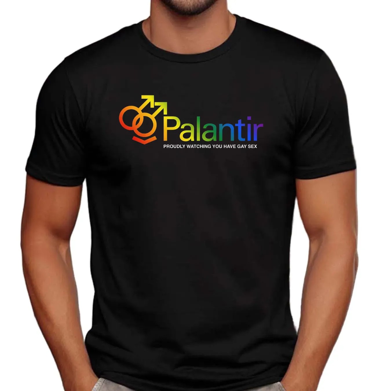 Palantir Proudly Watching You Have Gay Sex Tech Company T Shirt