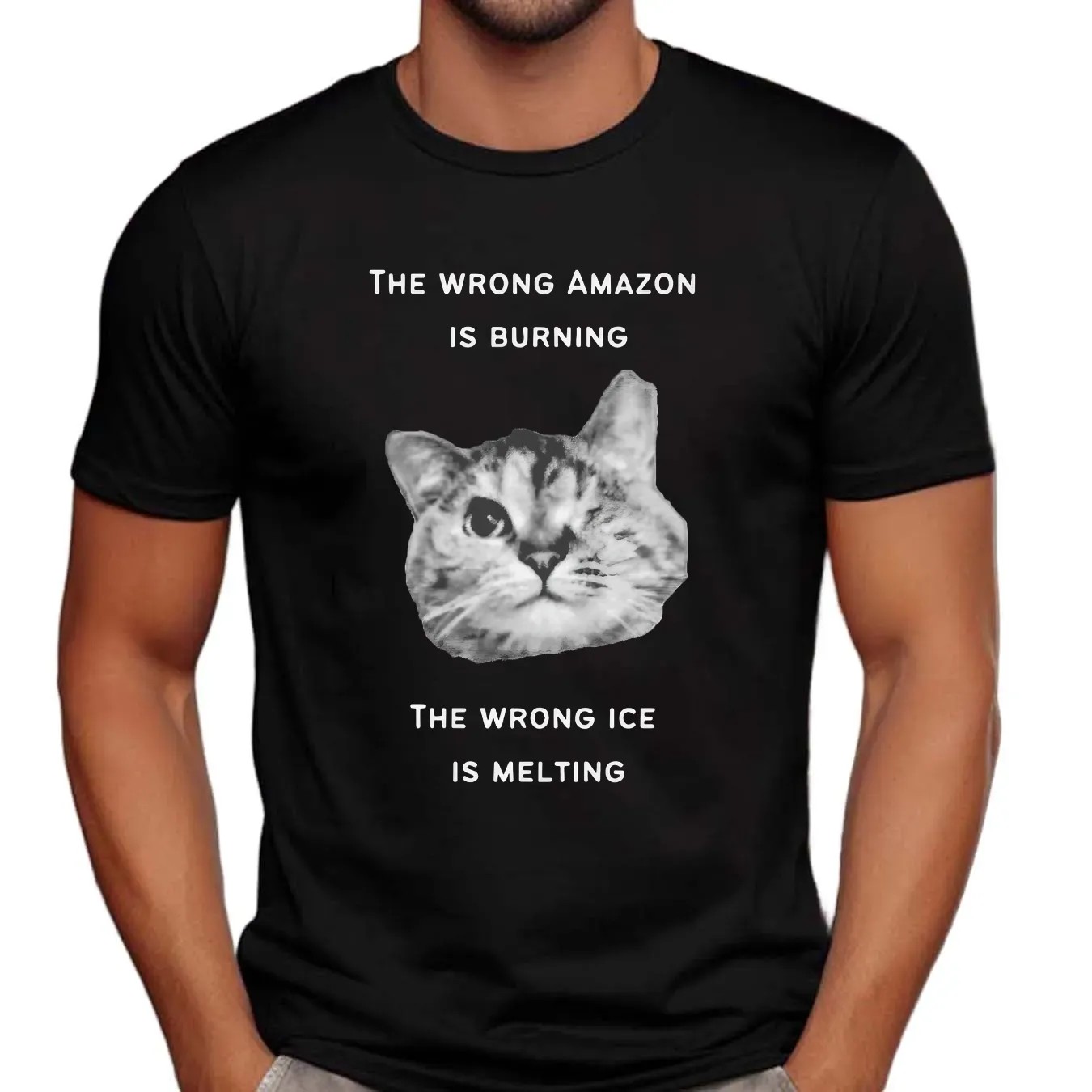 The Wrong Amazon Is Burning The Wrong Ice Is Melting Cat T Shirt