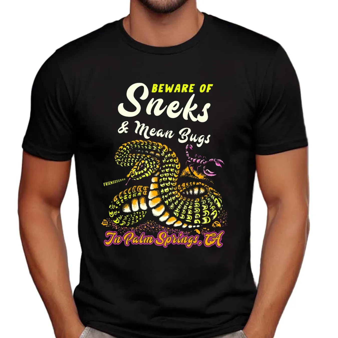 Beware Of Sneks And Mean Bugs In Palm Springs CA T Shirt