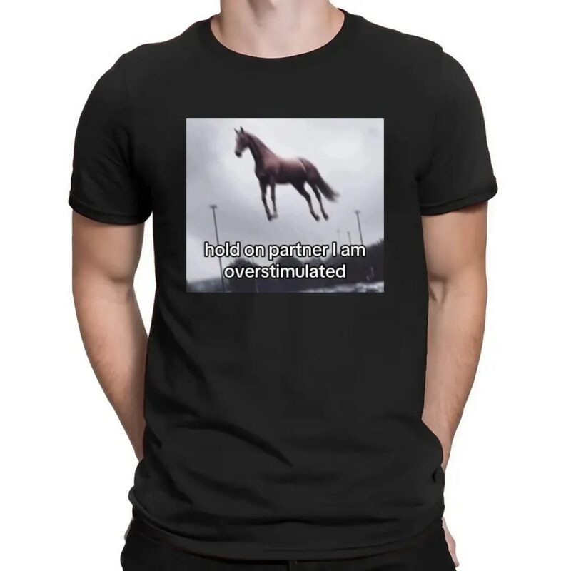 Flying Horse Hold On Partner I Am Overstimulated T Shirt