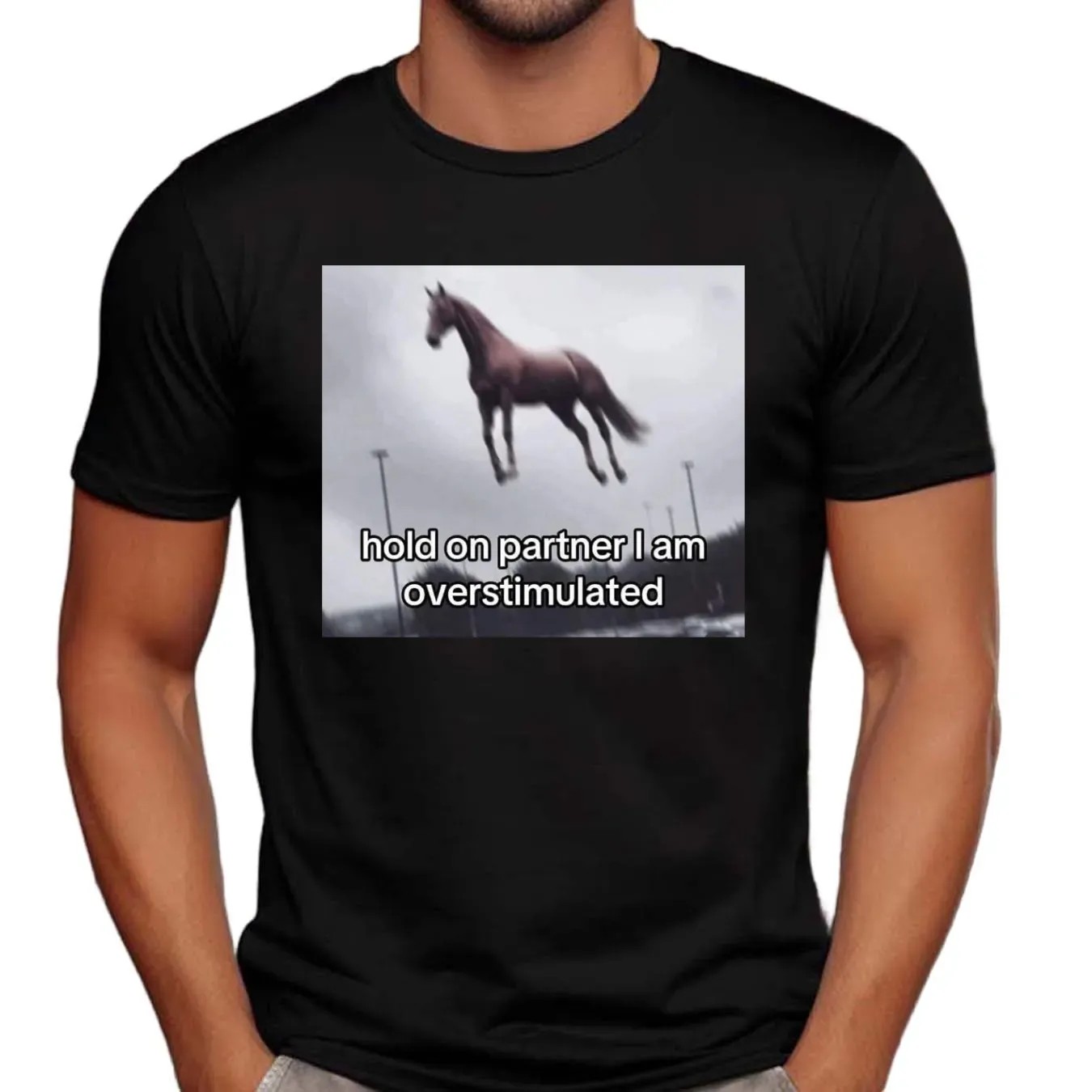 Flying Horse Hold On Partner I Am Overstimulated T Shirt