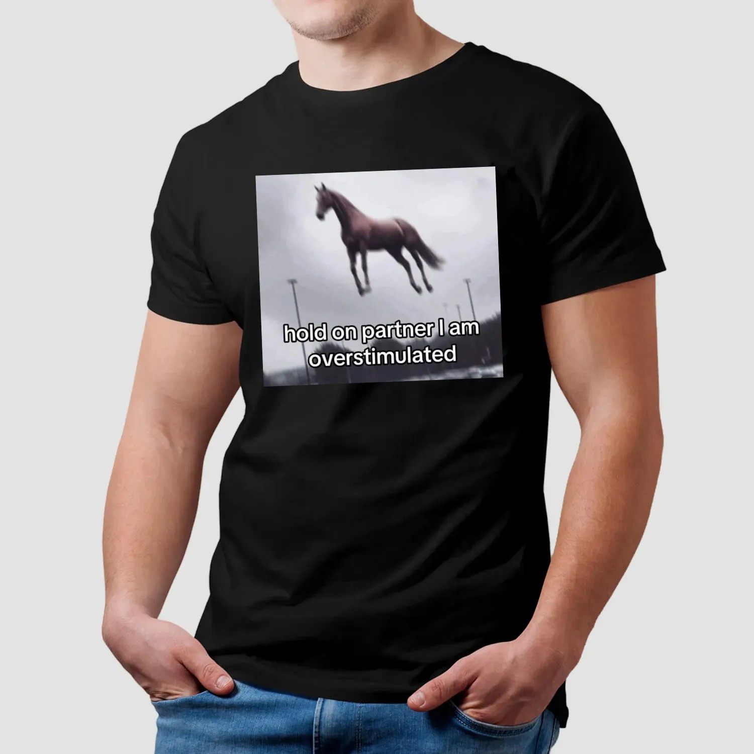 Flying Horse Hold On Partner I Am Overstimulated T Shirt