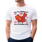 Are You Chinese Cuz I'm China Fuck Map T Shirt
