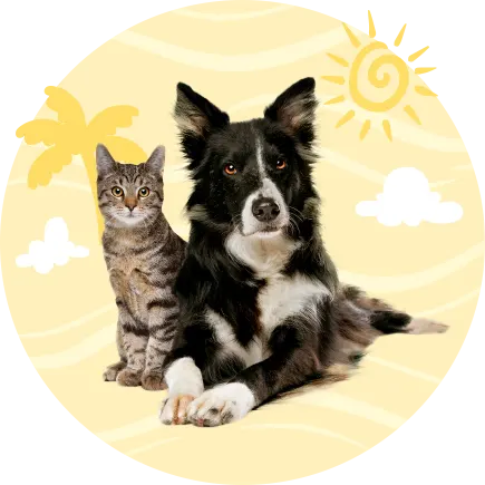 Pet Lovers